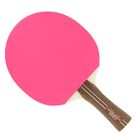 RAQ. STAR LIGHT conc GAME 2,0 N/rose
