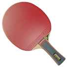 RAQ. APPELGREN ALLPLAY SENSO V1/Vario 2,0