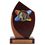 0750690a - TROPHEE BOIS 21 cm PHOTO B 90